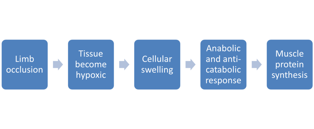 What Is Blood Flow Restriction Training? | Cairnhill Physiotherapy